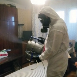 Дезинфекция от клопов в Борзе