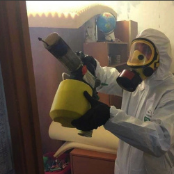 Уничтожение клопов в квартире. Борзя